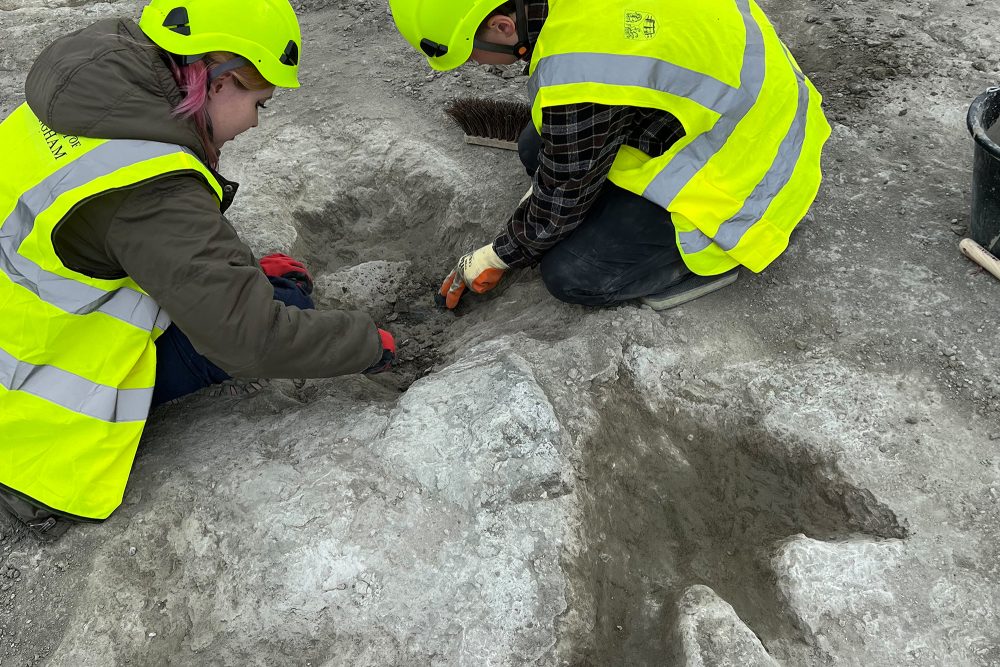 Forscher legen Dinosaurier-Fußspuren in einem Steinbruch frei