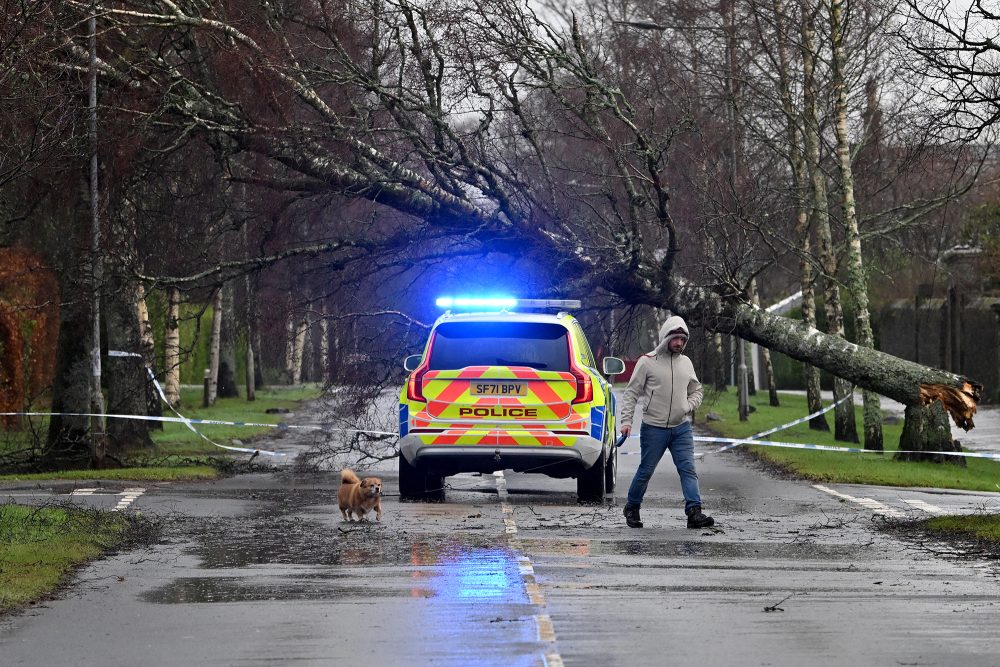 Umgestürzter Baum durch Sturm Eowyn im schottischen Helensburgh