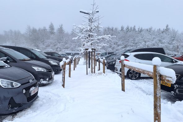 Schnee am Signal de Botrange