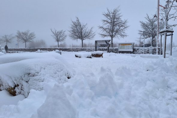 Schnee am Signal de Botrange