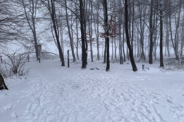 Schnee am Signal de Botrange