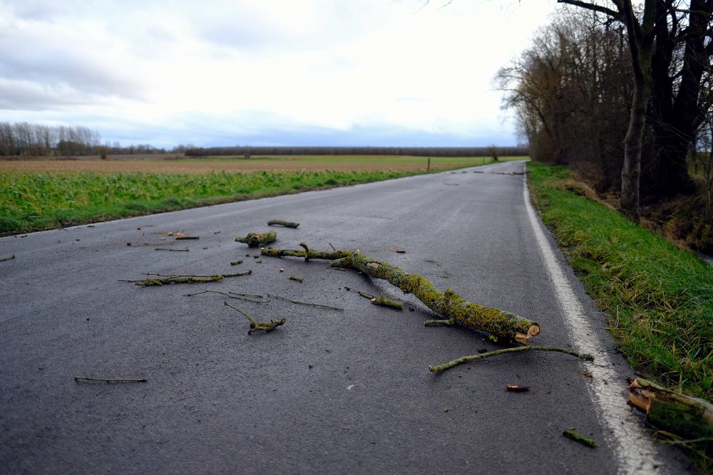 Durch Sturm abgebrochene Äste auf Fahrbahn