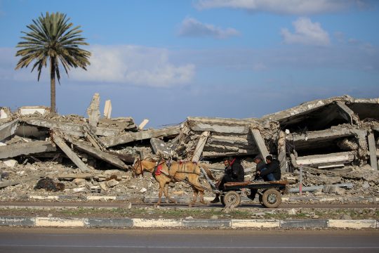 Ein komplett zerstörtes Haus im Gazastreifen, links im Bild eine Palme
