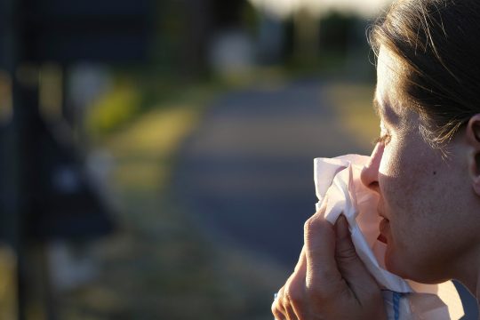 Heuschnupfengeplagte putzt sich die Nase