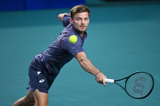 David Goffin