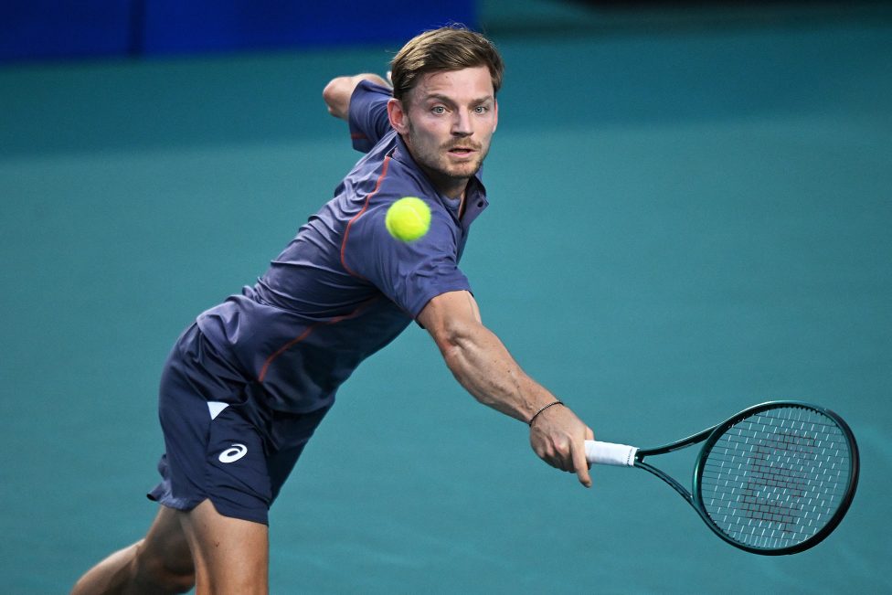 David Goffin