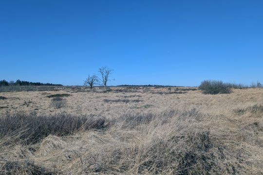 Rote Fahne weht: Brandgefahr in Teilen des Hohen Venns