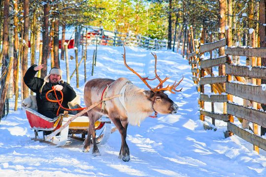 Mann reitet Rentierschlitten im Winter
