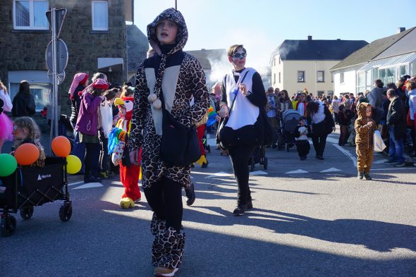 Rosenmontagszug in Bütgenbach