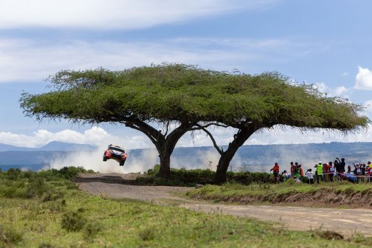 Thierry Neuville/Martijn Wydaeghe bei der Rallye Kenia