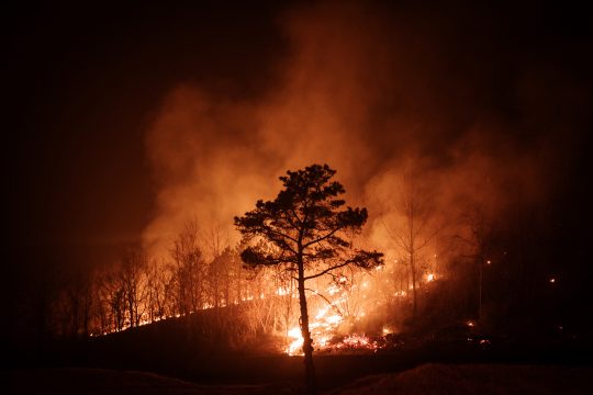 In der Nacht brennt es in einem Wald lichterloh