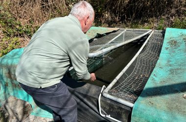 Mitglieder des Angelverein bereiten das Aussetzen vor