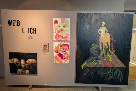 Ausstellung "Weiblich" im Alten Schlachthof