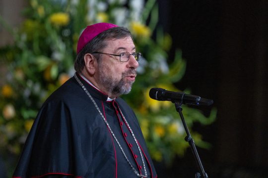 Bischof Jean-Pierre Delville