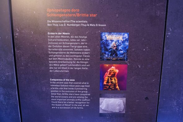 Ausstellung "Rock Fossils on Tour"