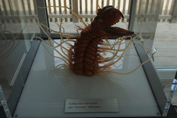 Ausstellung "Rock Fossils on Tour"