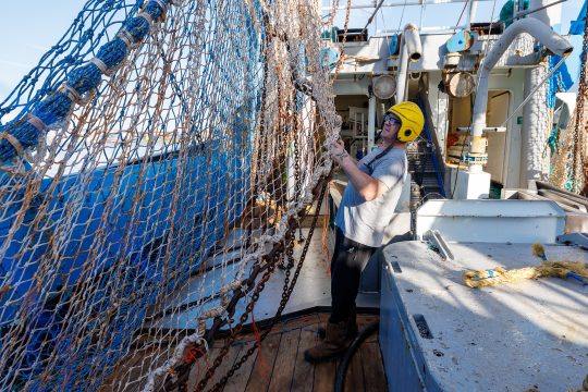 Fischerboot in Zeebrugge