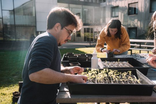 Junge Menschen setzen Pflanzenstecklinge