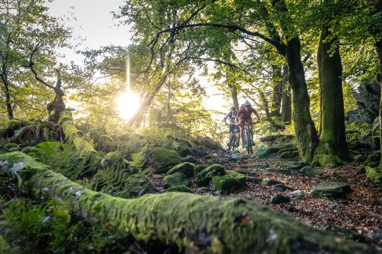 Mountainbiken auf dem Stoneman Arduenna