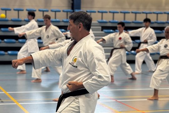 Karate-Seminar in Kelmis zum 50-jährigen Karateka-Jubiläum von Roger Emonts