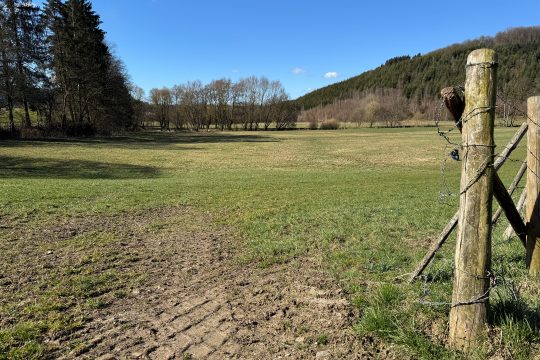 Bereits sehr trockene Landschaft