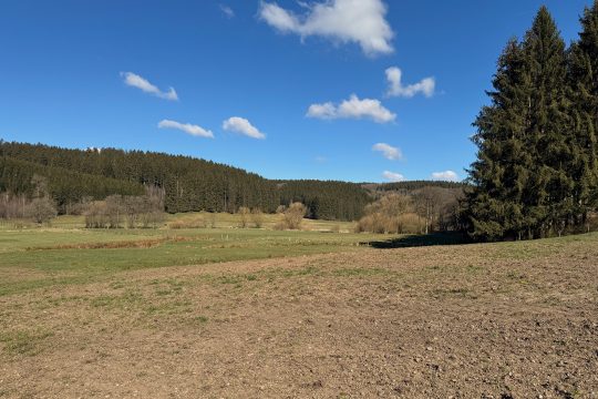 Bereits sehr trockene Landschaft