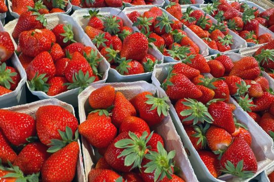 Erdbeeren abgepackt zum Verkauf