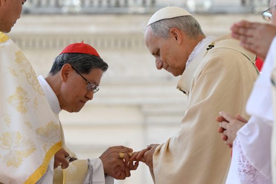 Der philippinische Kardinal Tagle steckt Papst Leo dem Vierzehnten den Fischerring an den Finger