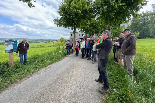 Die Wanderergruppe steht entlang des Weges und hört den Geologen bei ihren Erklärungen zu