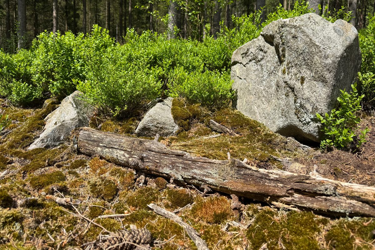 Teile des Gesteinmassivs entlang der Wanderroute