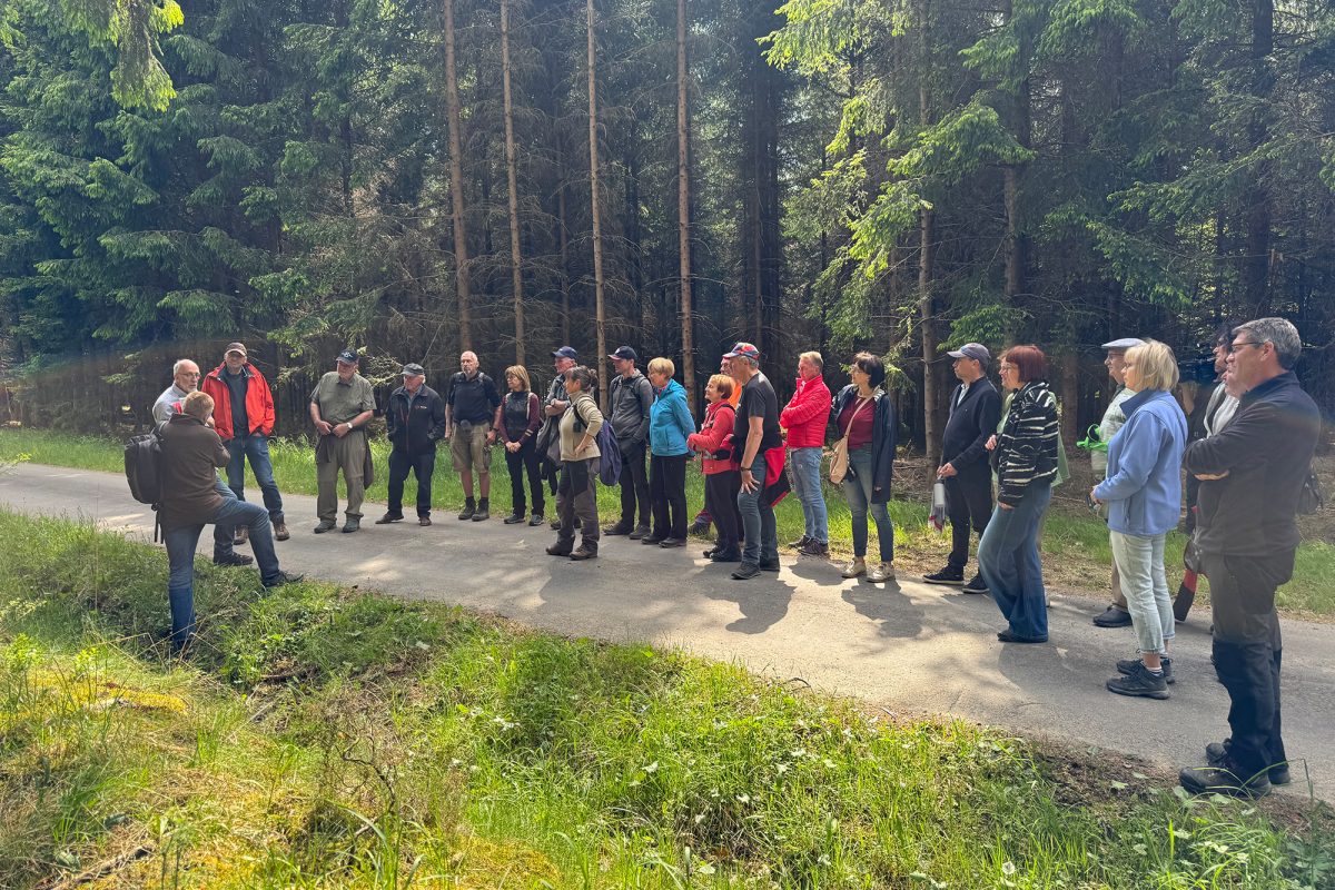 Die Wanderergruppe unterwegs auf der Goldroute
