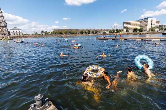 Schwimmer im Bonapartedok