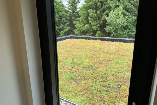 Chalets der neuen Ferienanlage in Wirtzfeld