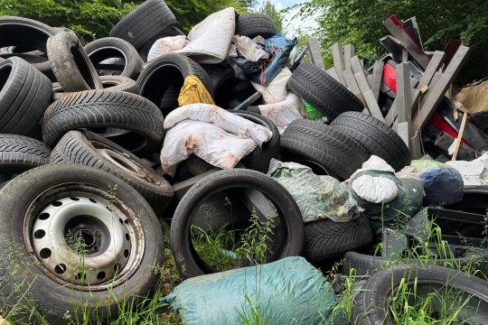 Ein Berg von Altreifen und anderem Unrat liegt im Wald