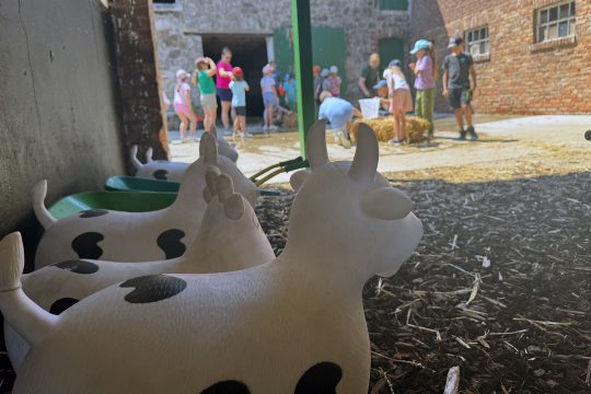 In der "Bunten Scheune" von Ayleen Croé