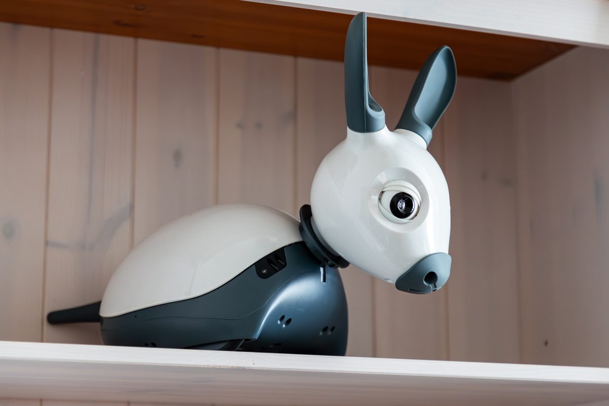 Kleiner Roboter, der mit seiner Konstruktion und seinen angedeuteten Ohren an einen Esel erinnert