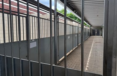 Tierzwinger im Tierheim Eupen