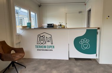 Der neue Empfangsbereich im Tierheim Eupen