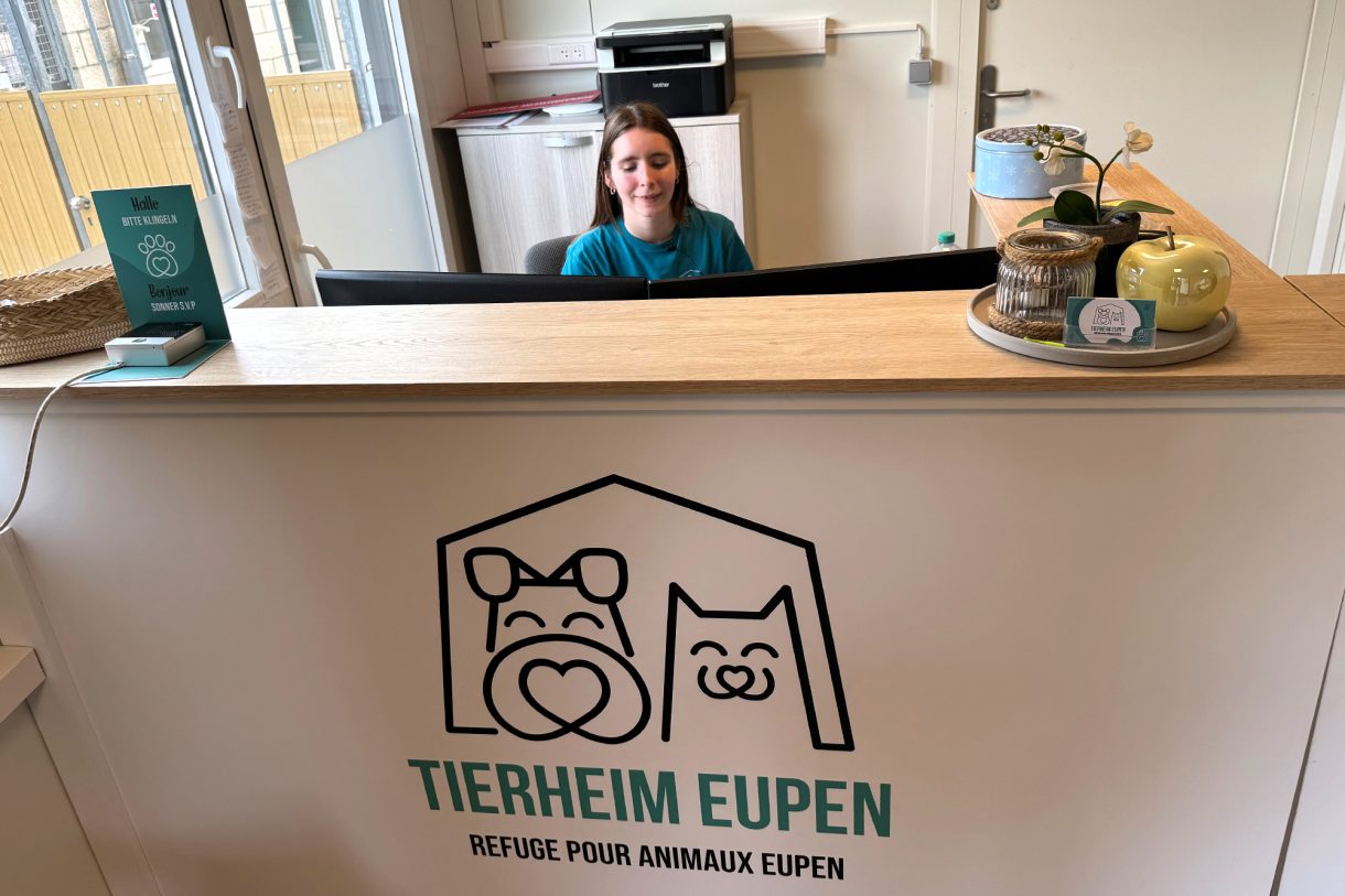 Eglantine Kreutz am Empfangstresen des Eupener Tierheims