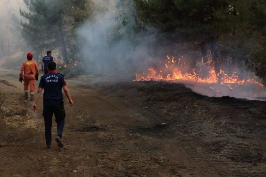Feuerwehrleute bei einem Waldbrand in der türkischen Provinz Sakarya