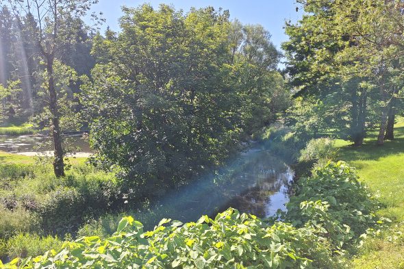 Projekttage Wasser in Weywertz