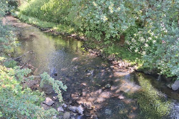 Projekttage Wasser in Weywertz