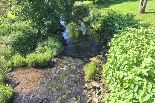 Projekttage Wasser in Weywertz