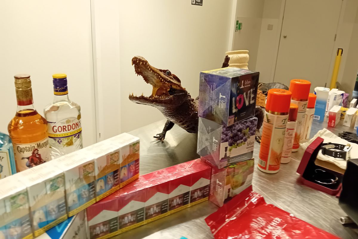 Einige beschlagnahmte Reise-Mitbringsel, unter anderem Alkohol und ein ausgestopfter Mini-Alligator