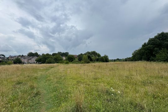 Wiese zwischen dem Ravel, dem Tennisclub und dem Kelmiser Dorfrand