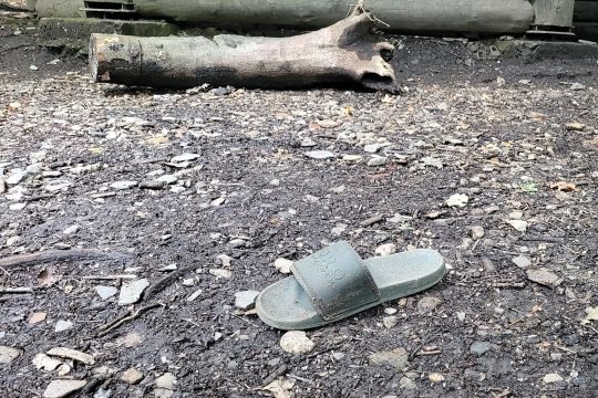 Verlassene Badelatsche auf dem Biwakplatz