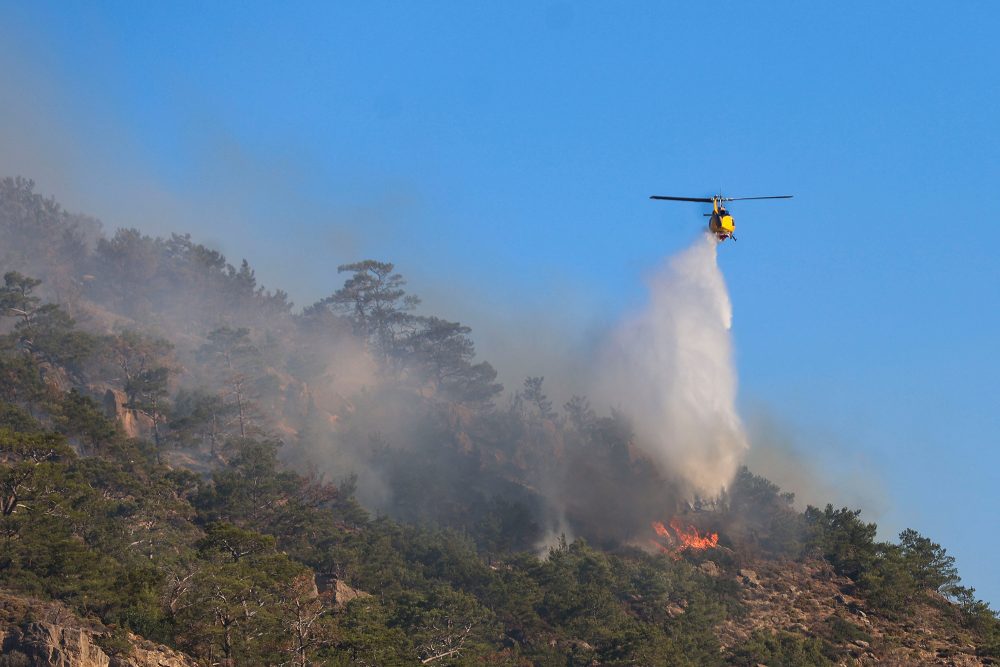 Waldbrand auf Kreta (Bild vom 3. Juli 2025)