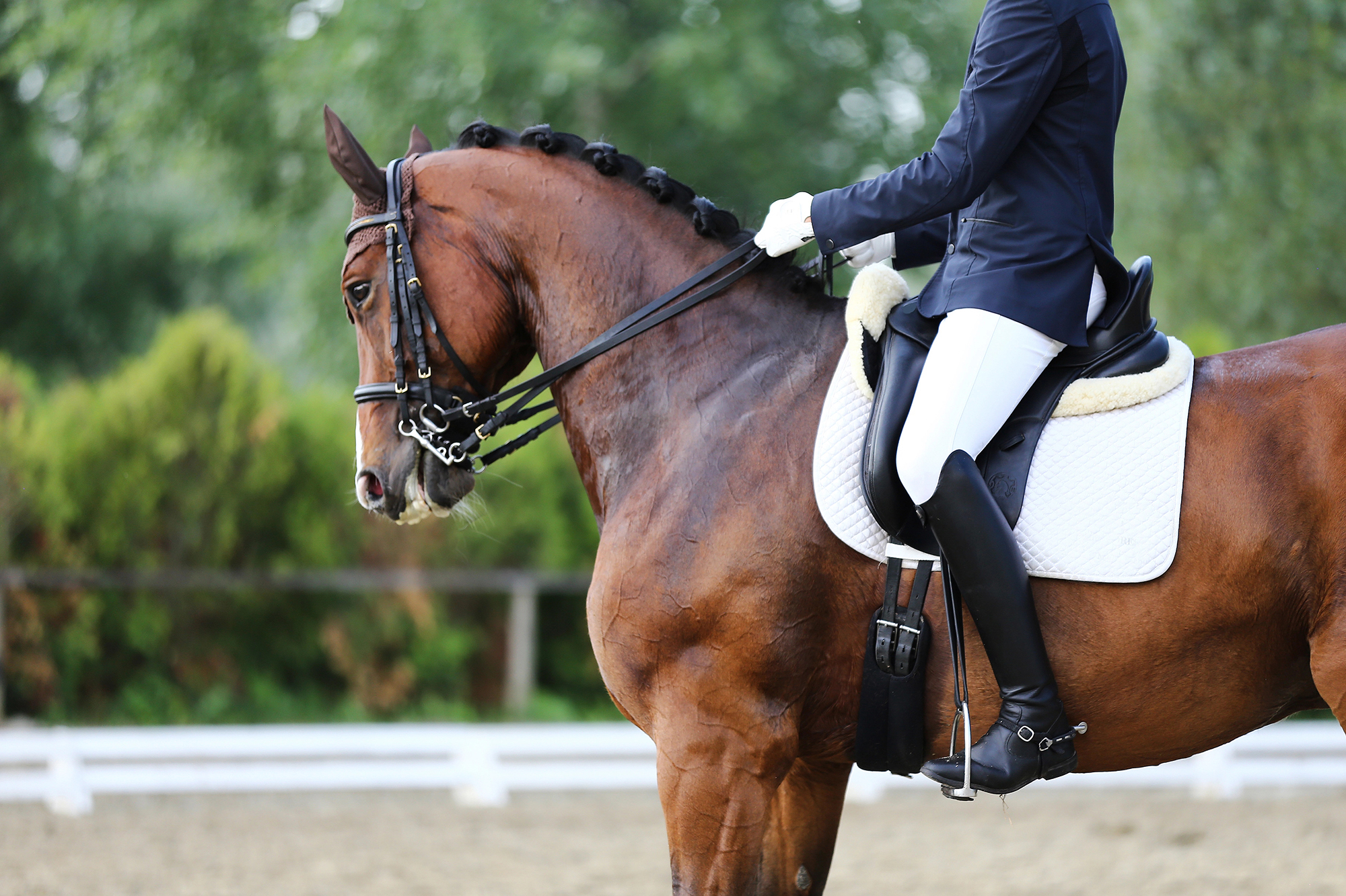CHIO-berraschung-Justin-Verboomen-schl-gt-Dressur-Star-Isabell-Werth