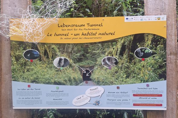 Erklärschild am Fledermaustunnel Huldange