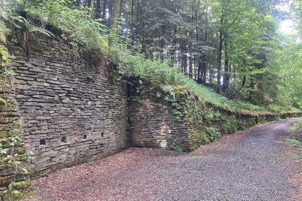 Fledermaustunnel Huldange